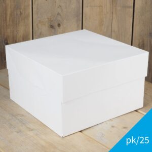 Set van 25 taartdozen van 25x25x15 cm